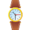 Wrist Watch Image